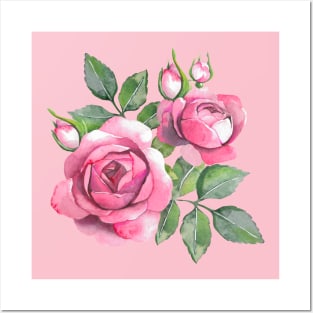 Branch of pink roses Posters and Art